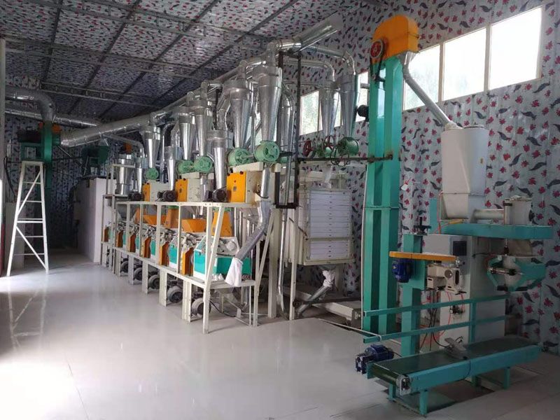 延長(zhǎng)設(shè)備壽命：面粉機(jī)與石磨機(jī)的日常保養(yǎng)秘訣